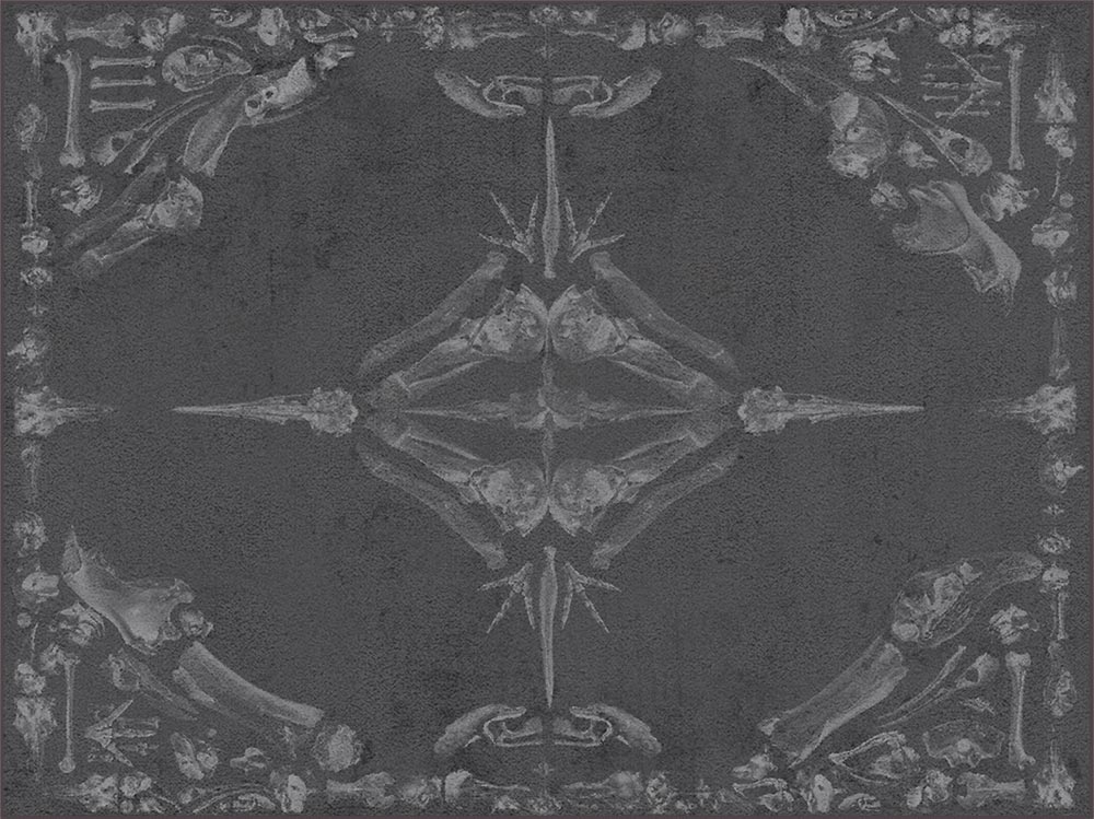 Teppich ANIMAL LESS Teppich