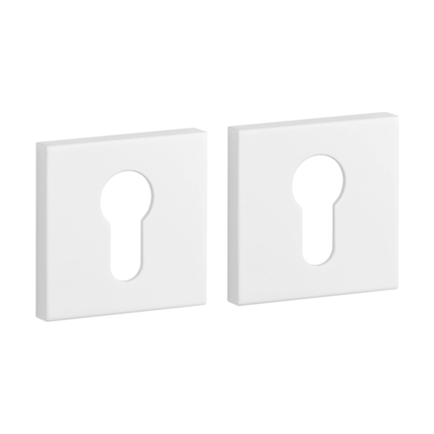 Rosette PRESTIGE Q 5S PZ